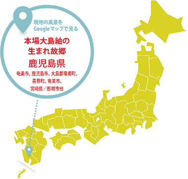 genten 銀座 × 本場大島紬 (鹿児島)